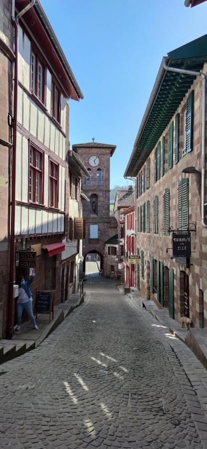 Gite Ultreia Vertes Montagnes Saint-Jean-Pied-de-Port Εξωτερικό φωτογραφία